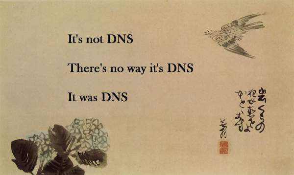 Un haiku sobre problemas de DNS